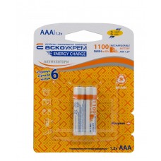 Батарейка Аско-Укрем NH-AAA1100 EC (блістер 2шт)
