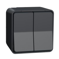 Накладний прохідний 2-клавішний перемикач Schneider Electric MUR35022 (сх.6+6) IP55 (антрацит)