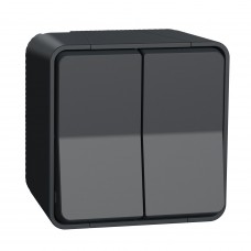 Накладний прохідний 2-клавішний перемикач Schneider Electric MUR35022 (сх.6+6) IP55 (антрацит)