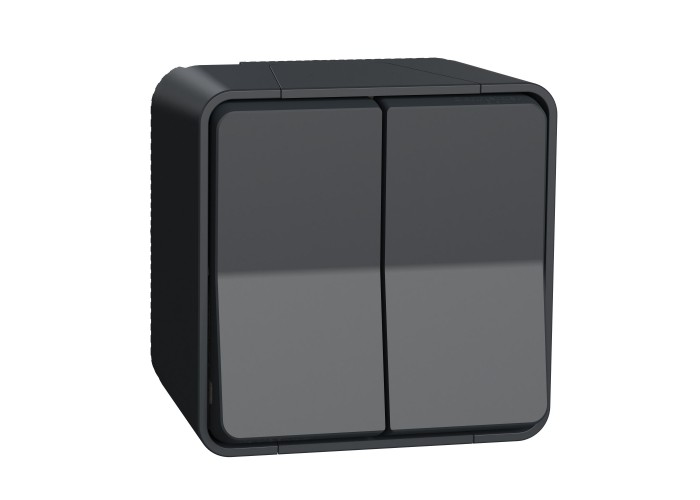 Накладний прохідний 2-клавішний перемикач Schneider Electric MUR35022 (сх.6+6) IP55 (антрацит)