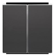 Подвійна клавіша ABB Sky 8511 NS (чорний оксамит)