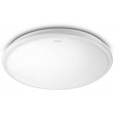 Світлодіодний світильник Philips 915004488701 31816 LED 20Вт 2700K White