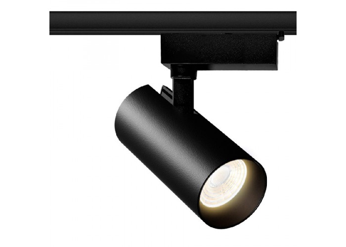 Трековый светильник Evrolight Accente A-30-01 30Вт 4200К (56999) черный