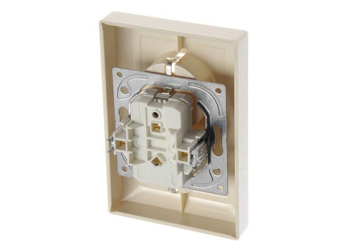 Розетка ABB basic55 cлонова кість 2-на з заземленням ( 2CKA002014A1463 )