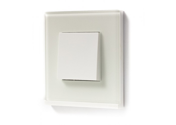 Горизонтальная однопостовая рамка Schneider Electric NU600285 (белое стекло/белый)