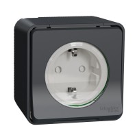 Накладна розетка Schneider Electric MUR36034 із з/к та шторками IP55 (антрацит)