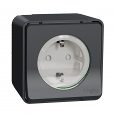 Накладна розетка Schneider Electric MUR36034 із з/к та шторками IP55 (антрацит)