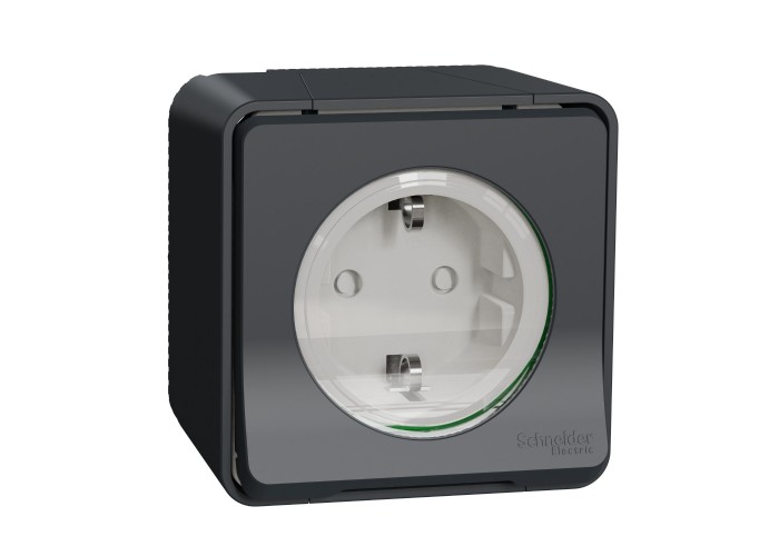 Накладна розетка Schneider Electric MUR36034 із з/к та шторками IP55 (антрацит)