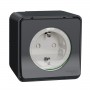 Накладна розетка Schneider Electric MUR36034 із з/к та шторками IP55 (антрацит)