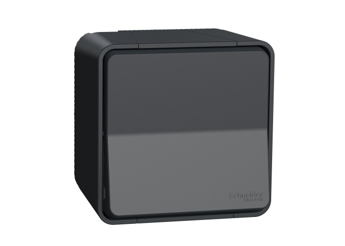 Накладний перехресний вимикач Schneider Electric MUR35023 IP55 (антрацит)