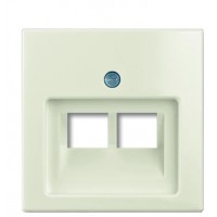 Одномісна двомодульна центральна плата ABB Basic 55 2CKA001753A0209 1803-02-96-507 (білий шале)