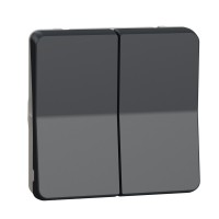 Прохідний 2-клавішний перемикач Schneider Electric MUR35019 (сх.6+6) IP55 (антрацит)