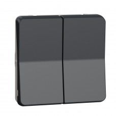 Прохідний 2-клавішний перемикач Schneider Electric MUR35019 (сх.6+6) IP55 (антрацит)