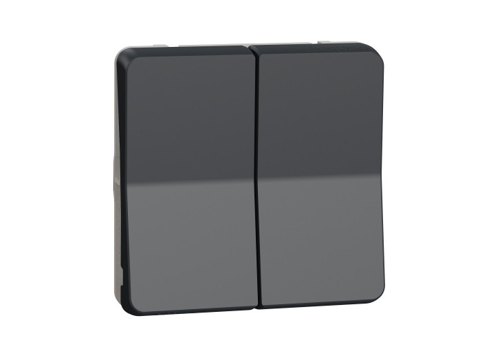 Прохідний 2-клавішний перемикач Schneider Electric MUR35019 (сх.6+6) IP55 (антрацит)