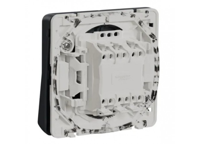 Прохідний 2-клавішний перемикач Schneider Electric MUR35019 (сх.6+6) IP55 (антрацит)