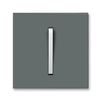Клавіша вимикача Neo графіт/крижаний білий 1кл ( 2CHM590651A4061 )