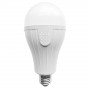 Лампа акумуляторна LED BASIS A80 12W E27 4000K Violux​ ( 829100 )