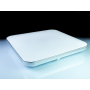 Светильник светодиодный Biom SMART SML-S01-90 3000-6000K 90Вт с пультом д/у (12570)