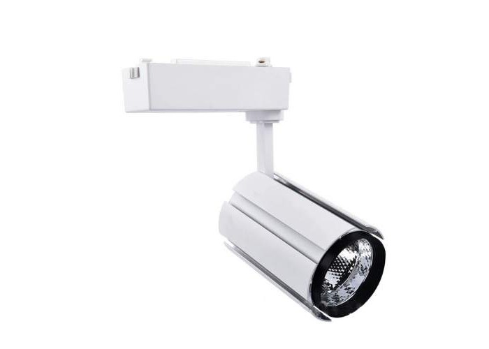 Светильник светодиодный трековый Ledmax 10 Вт 6500К белый (TRL10CW6)
