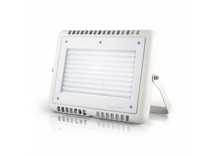 Прожектор светодиодный ЕВРОСВЕТ FLASH-100-01 100W, 170-265V, 6400K, 9000 lm (000039292)