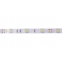 Светодиодная LED лента гибкая 12V PROLUM IP20 5050\30 Series "S", RGB