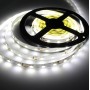 Светодиодная LED лента гибкая 12V PROLUM IP20 5630\60 Series "S", Белый (5500-6000К)