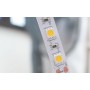 Светодиодная LED лента гибкая 12V PROLUM IP20 5050\60 Series "S", Тепло-белый (2700-3000К)